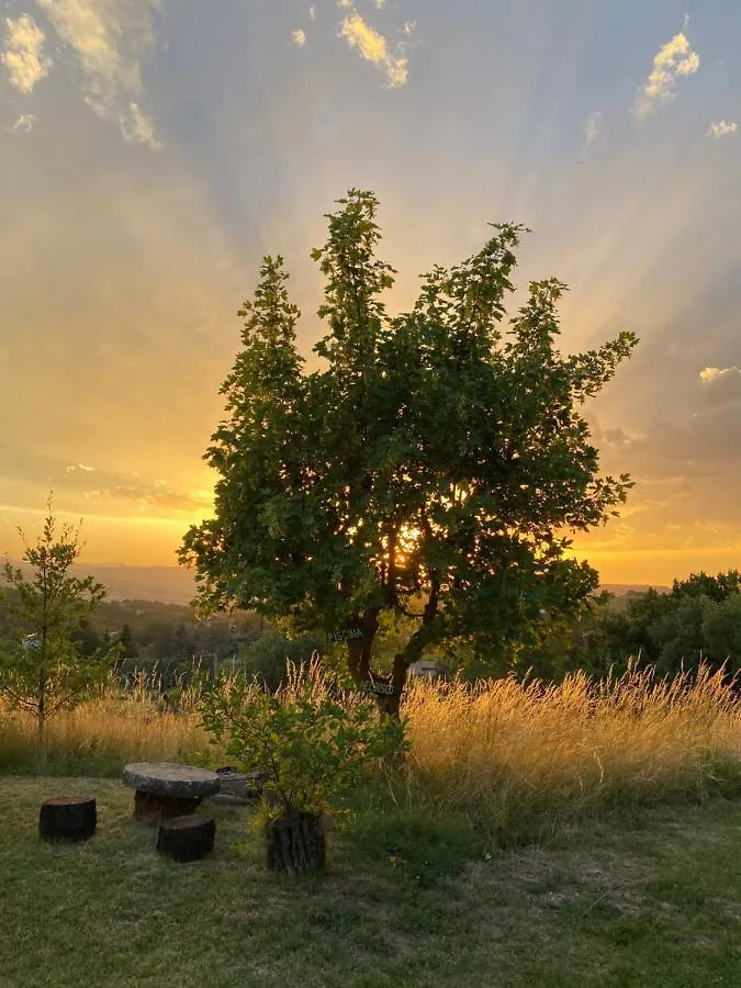Agriturismo Ca Monduzzi Zocchetta 0*,